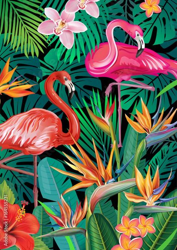 Background with exotic tropical flowers