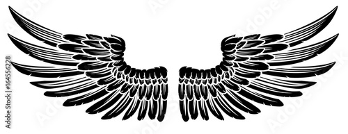 Pair of Vintage Style Wings