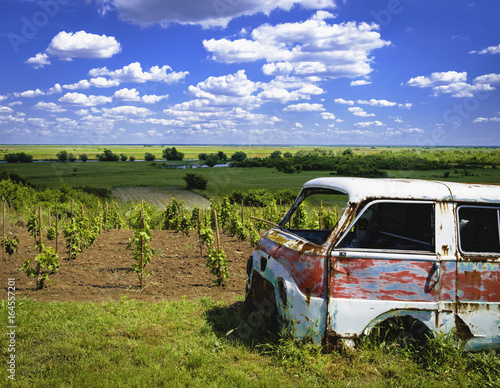 Fototapeta Naklejka Na Ścianę i Meble -  Vineyard landscape with a abandoned van