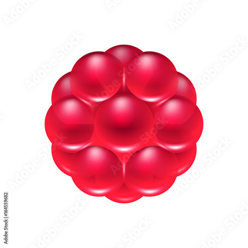 Red berry jelly candy icon.