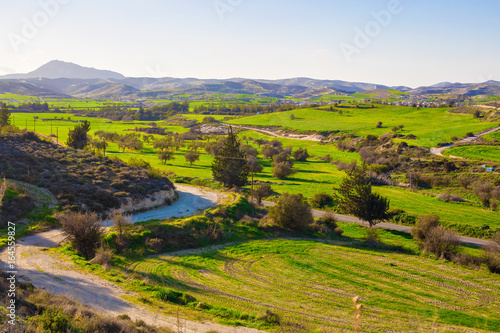 Summer landscape with green grass  road and mountains