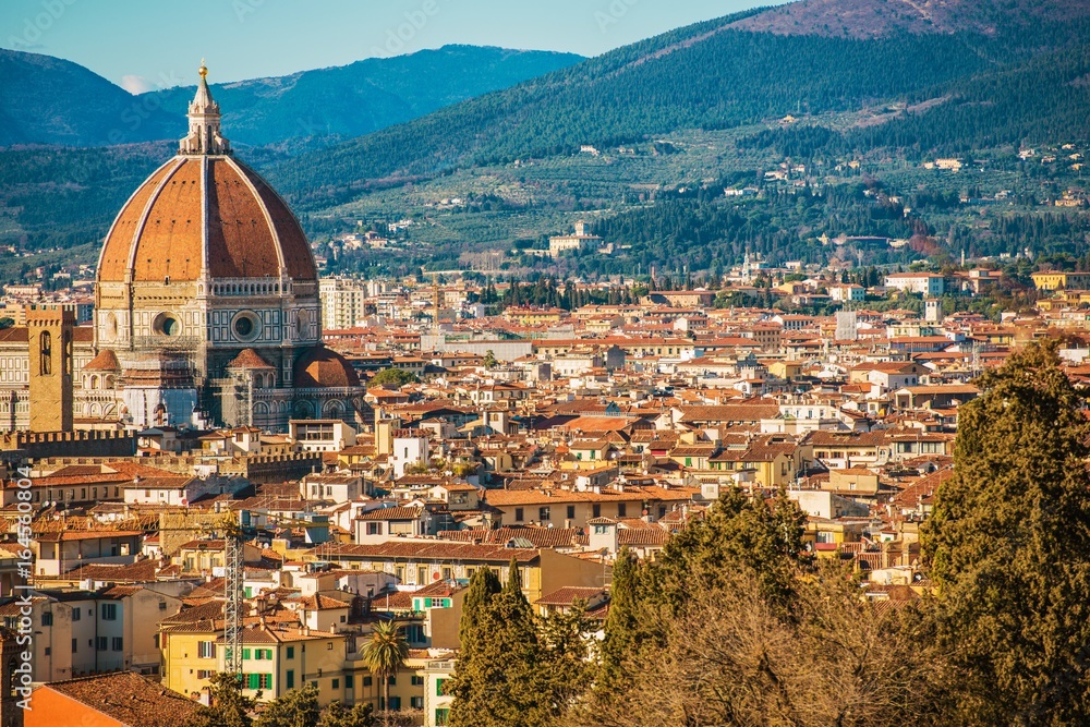 Florence City Panorama