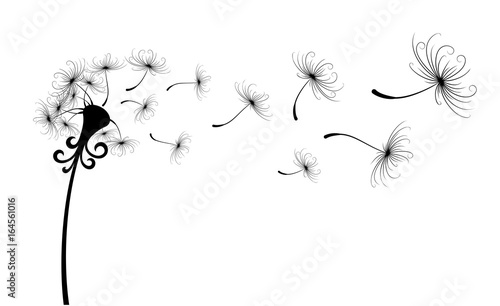 Fototapeta Naklejka Na Ścianę i Meble -  Flower field dandelion. 
