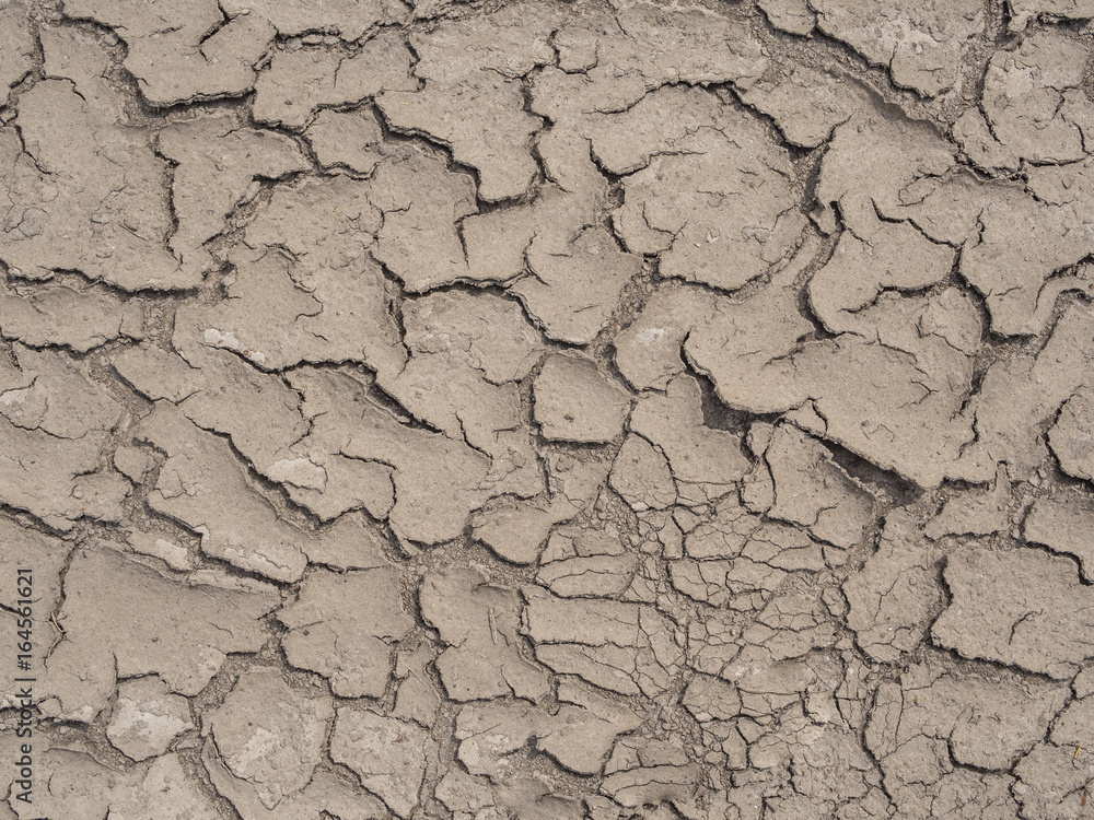 Fototapeta premium Wassermangel im Boden