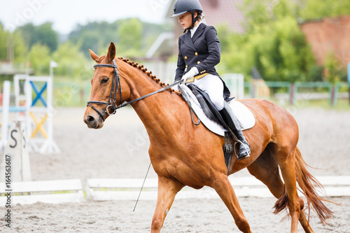 Young rider girl on sorrel horse at dressage equestrian competition © skumer