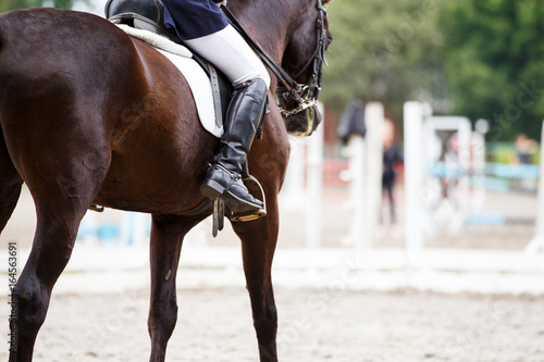 Close up image of horse with rider at dressage equestrian sports competitions. Details of equestrian equipment © skumer