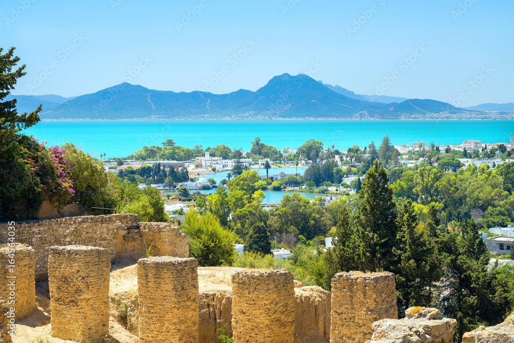 Obraz premium Starożytne ruiny Kartaginy i nadmorski krajobraz. Tunis, Tunezja, Afryka