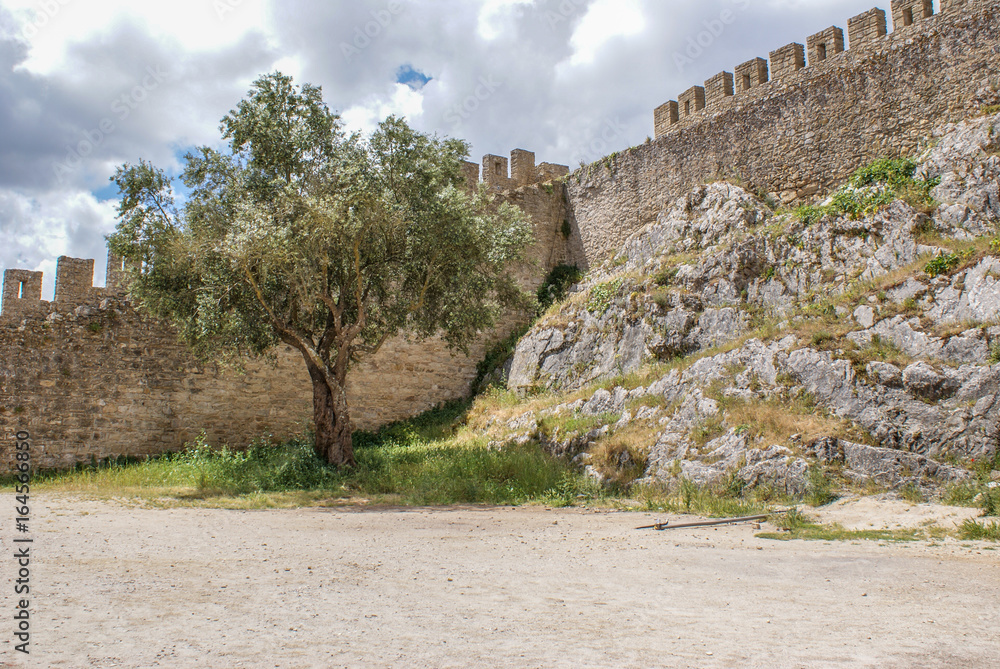 Fototapeta premium Óbidos, Portugal