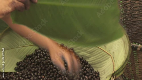 Acai Berry 10
