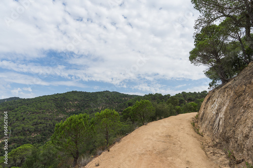 Beautiful green landscape in Spain