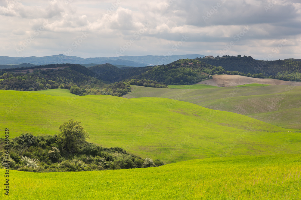 Tuscany countryside