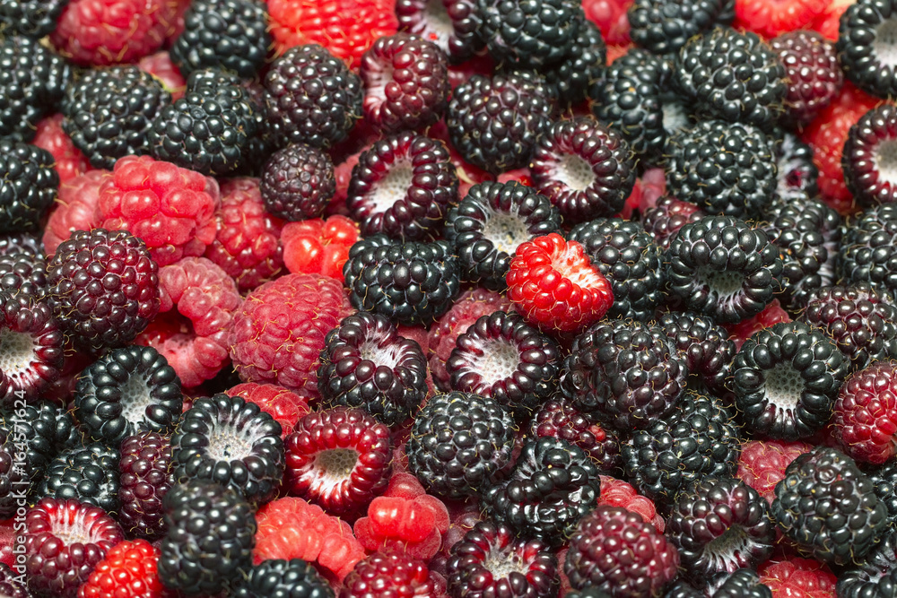 Fresh juicy berries of raspberries and blackberries, delicious colorful summer background Fresh juicy berries of raspberries and blackberries, delicious colorful summer background