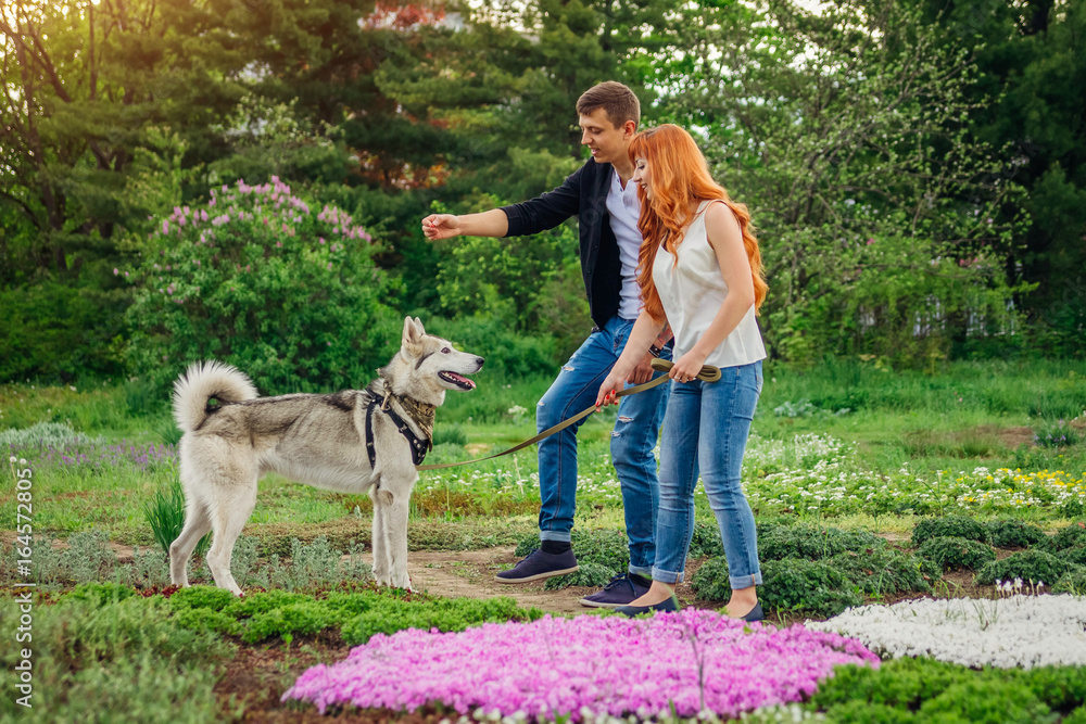Fototapeta premium A young couple walking a dog in the park