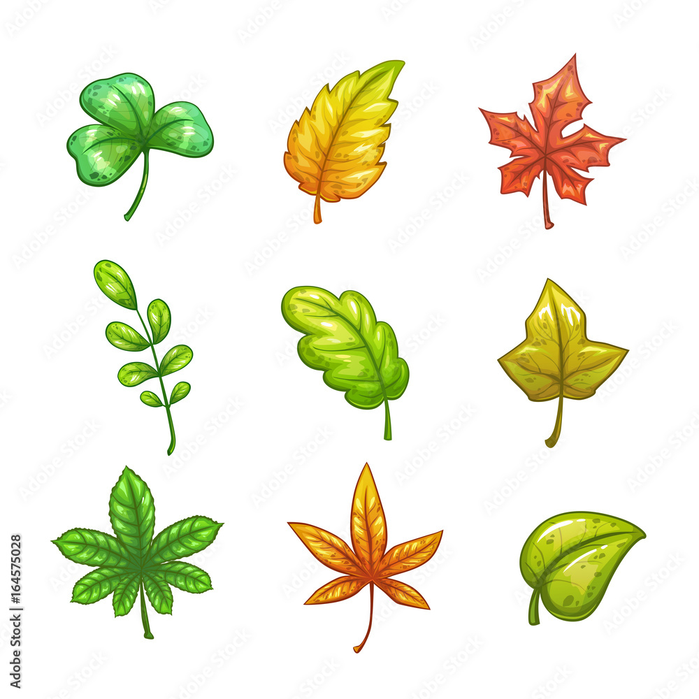 Cartoon colorful vector leaves set.