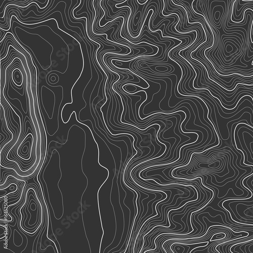 Topographic map background with space for copy . Line topography map contour background , geographic grid abstract vector illustration . Mountain hiking trail over terrain .