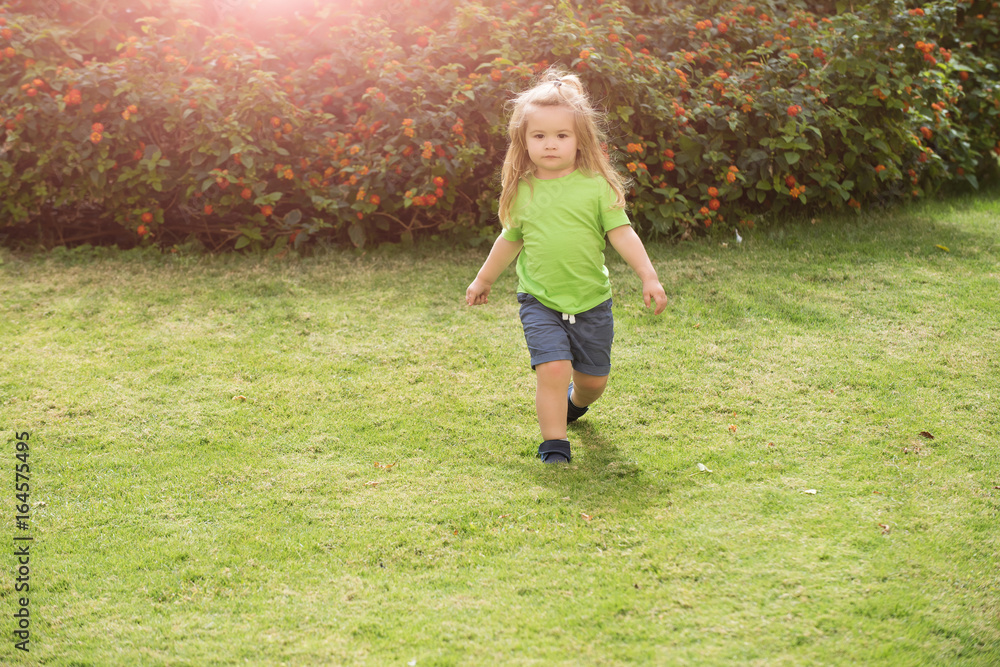 Boy small kid with serious cute face walking along meadow Boy small kid with serious cute face walking along meadow