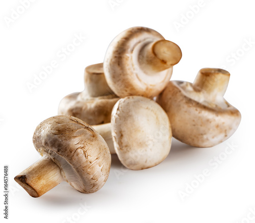 Pile of raw mushroom isolated on white background