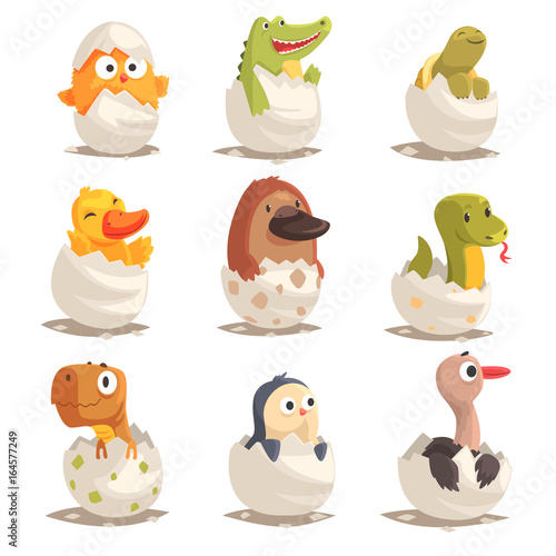 Chicks and reptiles hatch from eggs set, unborn animals vector Illustrations