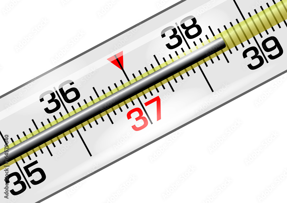 Medical thermometer close-up in vector Medical thermometer close-up in vector