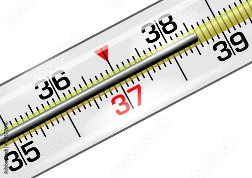 Medical thermometer close-up in vector