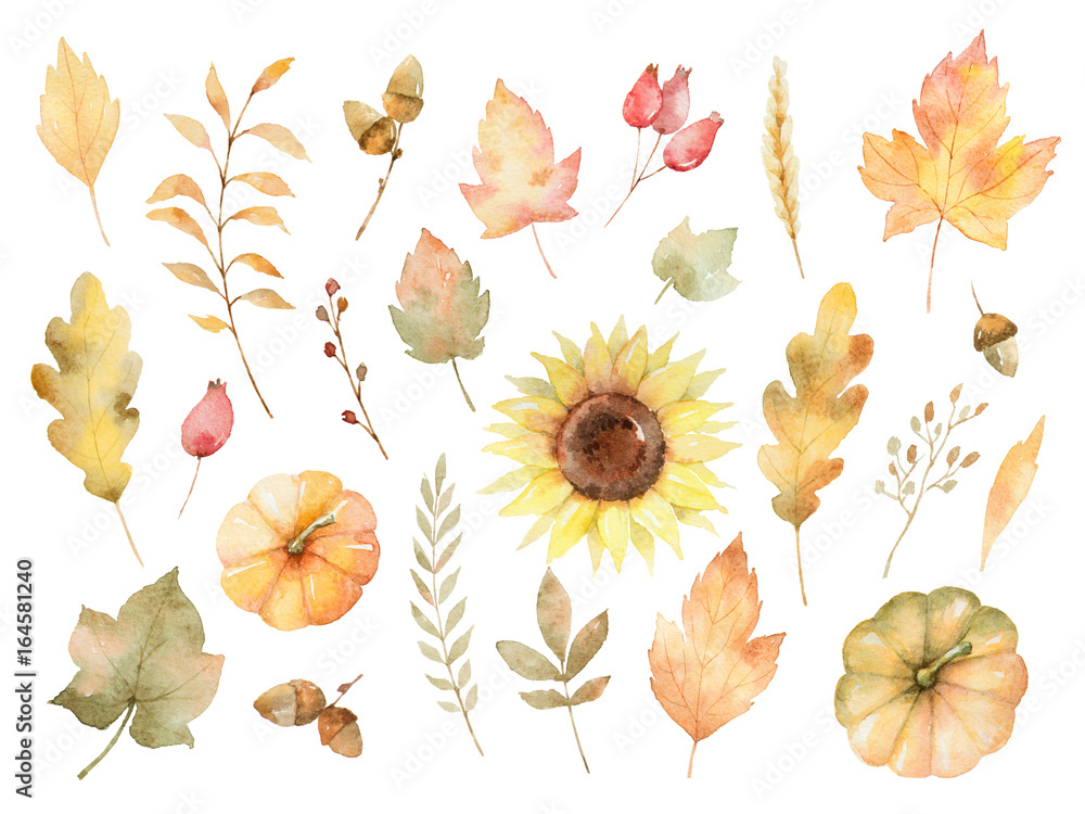 Obraz premium Watercolor autumn set of leaves, branches, flowers and pumpkins isolated on white background.