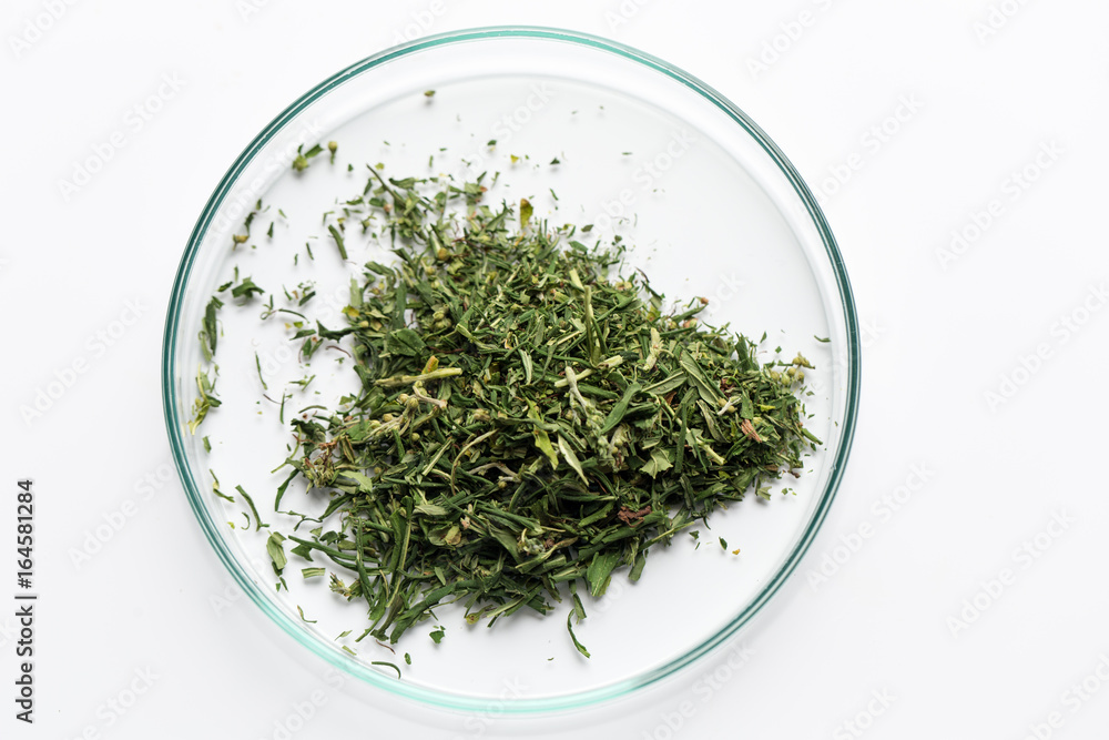 Powder of Cannabis (Drugs), Analysis of Cannabis in laboratory. Powder of Cannabis (Drugs), Analysis of Cannabis in laboratory.
