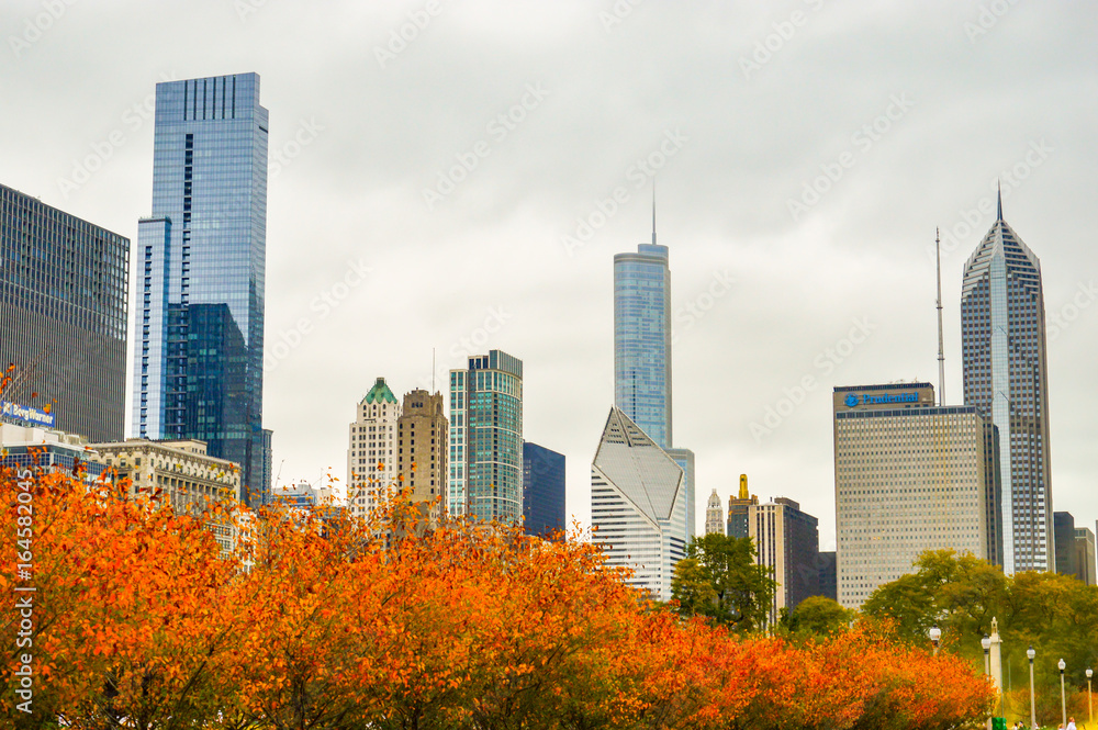 Obraz premium Chicago skyscrapers, Illinois state city, famous for the fountain and the magical colors of autumn, in the city park
