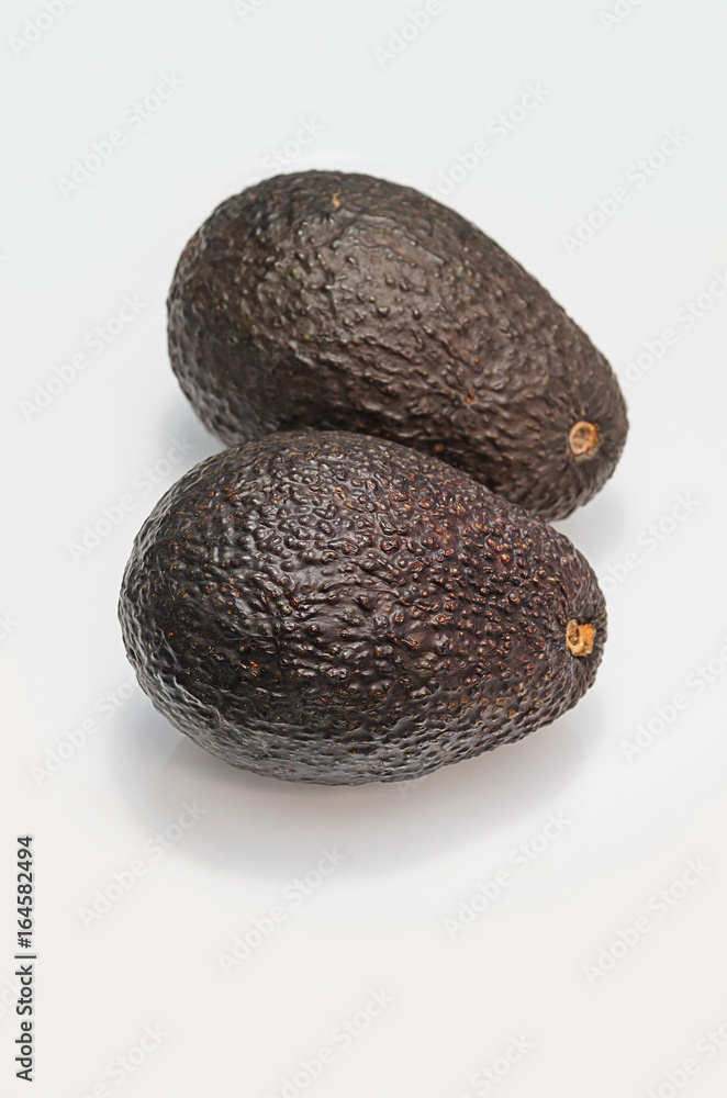Two brown avocado fruits isolated on white Two brown avocado fruits isolated on white