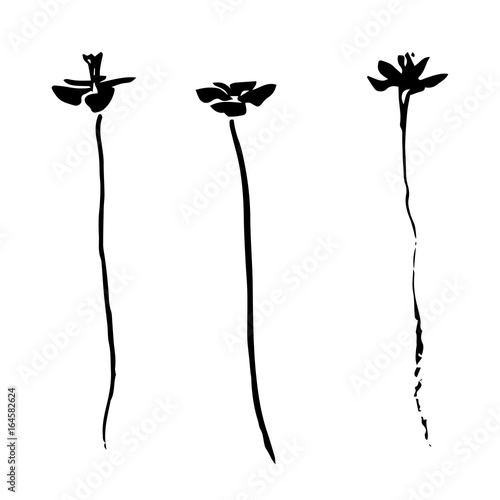 Three hand drawn black stylized flower painted by ink. Sketch vector illustration.