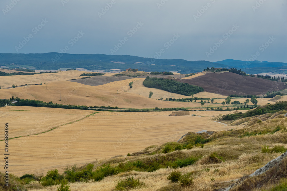 Panorama of tuscany in summer, with fields of wheat and blue sky