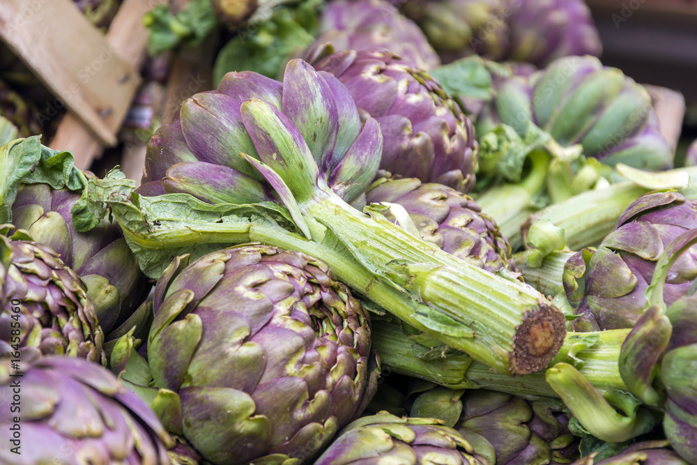 Obraz premium Group of artichokes
