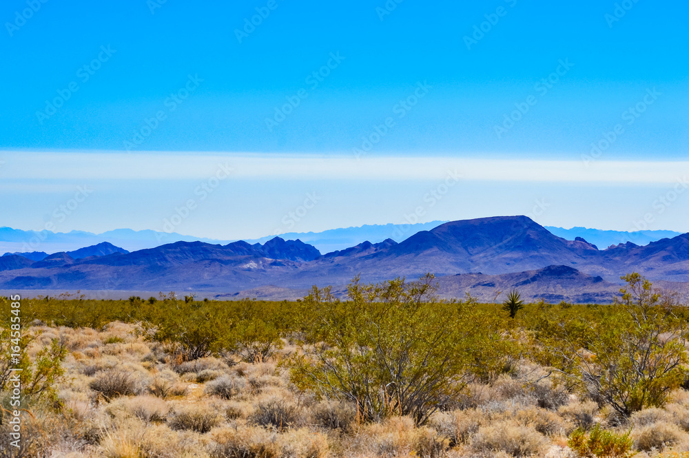 California Desert Panorama in Joshua Tree National Park
