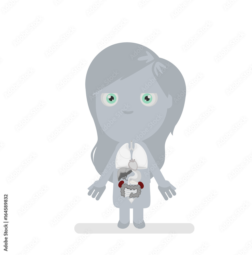 Human body anatomy vector illustration Human body anatomy vector illustration