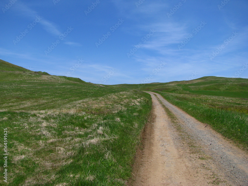 Chemin dans la nature, îles de la Madeleine, Québec, Canada