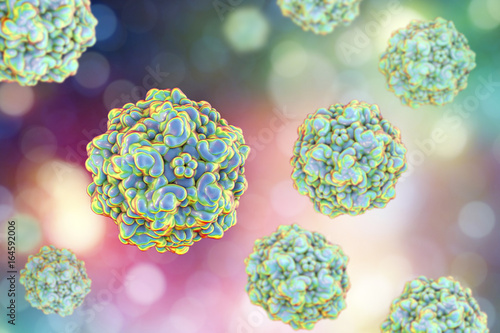 Foto Canine parvovirus, 3D illustration