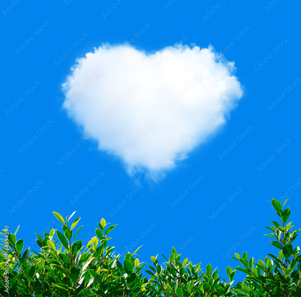 Cloud in Heart Shape on blue sky with green plant