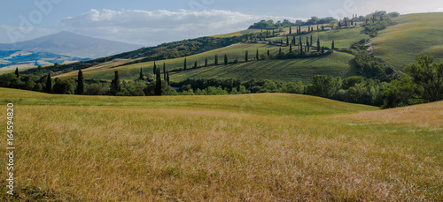 Campo - Maremma