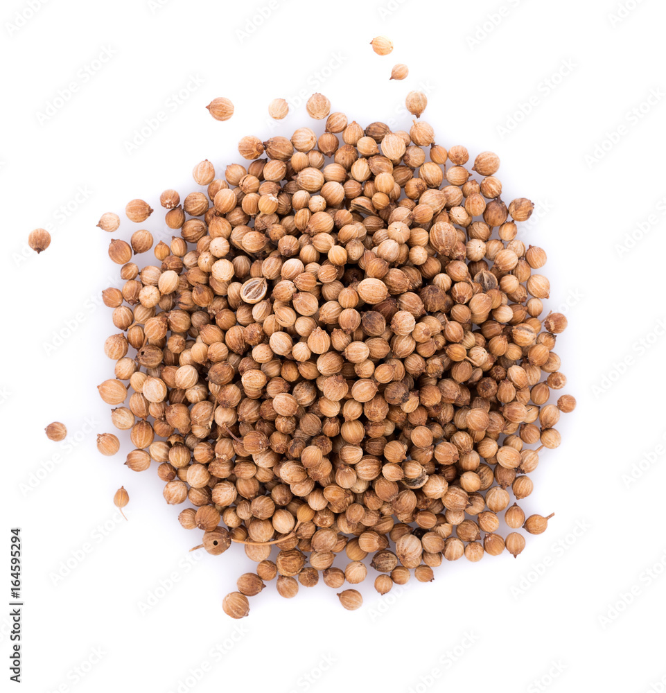 coriander seeds isolated on white background coriander seeds isolated on white background