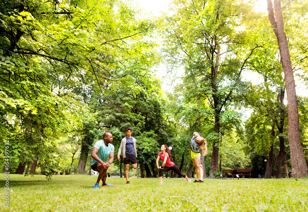 Fototapeta premium Group of young runners stretching and warming up in park.