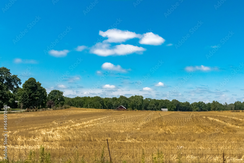 Indiana Farmland