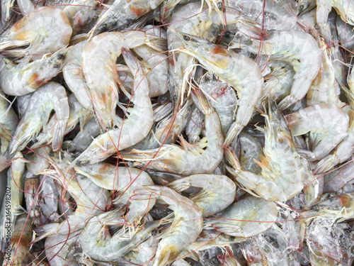 fresh shrimp,sea food background