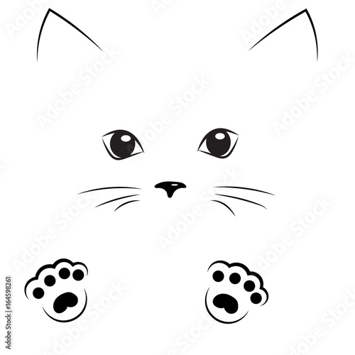 vector black outline drawing cat face with paws