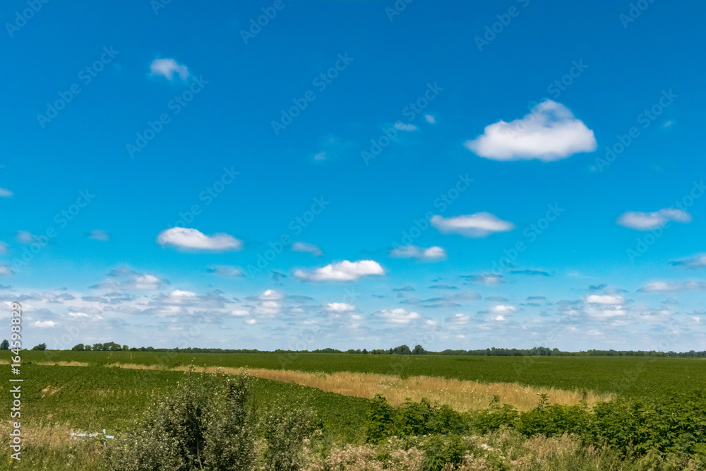 Indiana Farmland