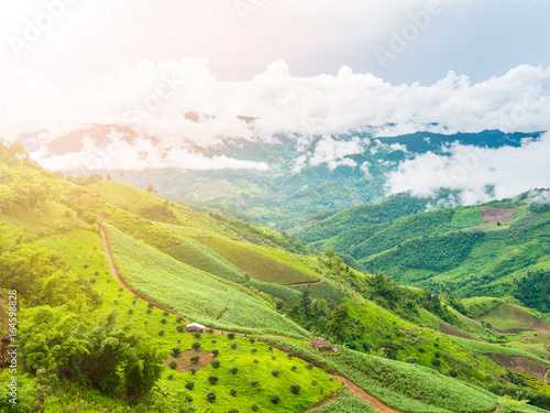 beautiful green mountain and clouds in northern of thailand. © Loveischiangrai