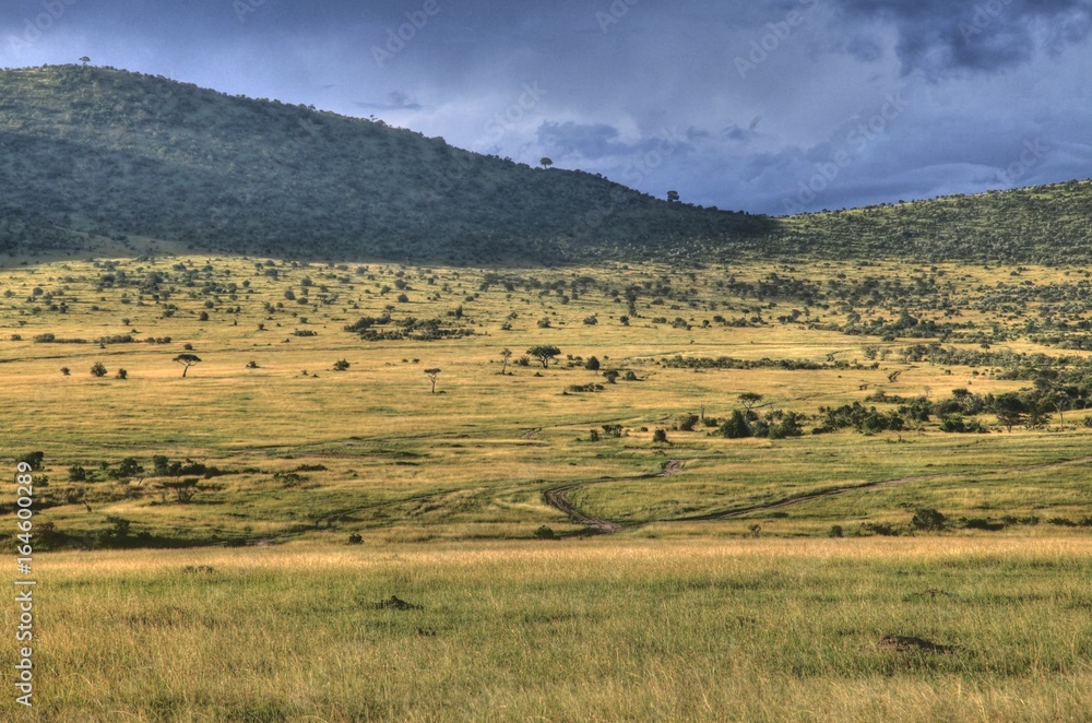 Safari Park - Maasai Mara - Kenya