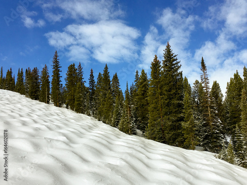 Foto Untouched Powder in Colorado