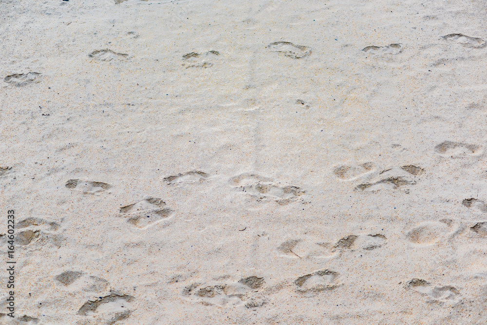 Footprints on grey sand during sunset closeup Footprints on grey sand during sunset closeup