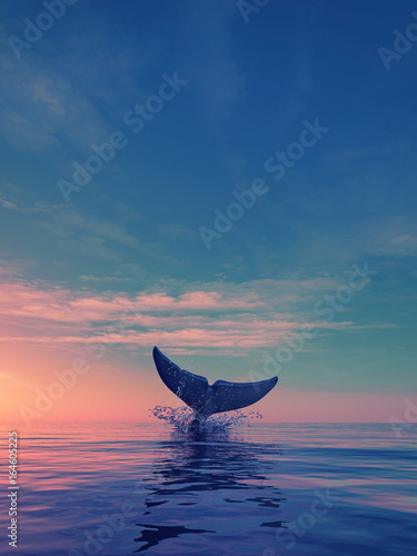 Obraz na płótnie A whale dives