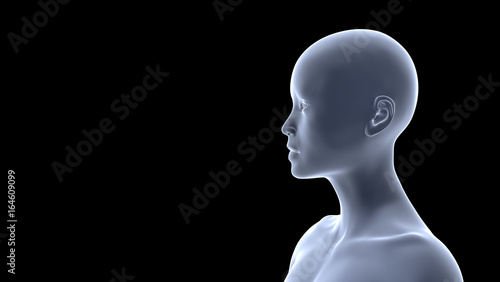 profile of a beautiful young woman (conceptual 3d illustration on a black background)