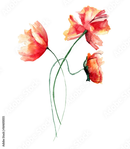 Template for card with with Poppies flowers